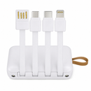 Power Bank de 10.000mAh + Legal | 4 Cabos Carregamento
